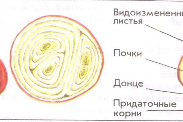 Как зайти на кракен с телефона андроид