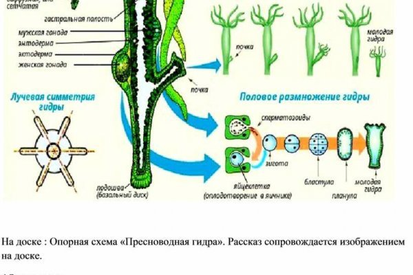 Как найти настоящую кракен даркнет ссылку