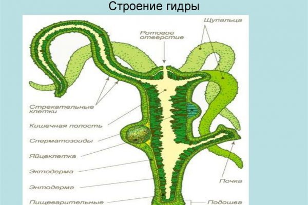 Сайты по продаже наркотиков